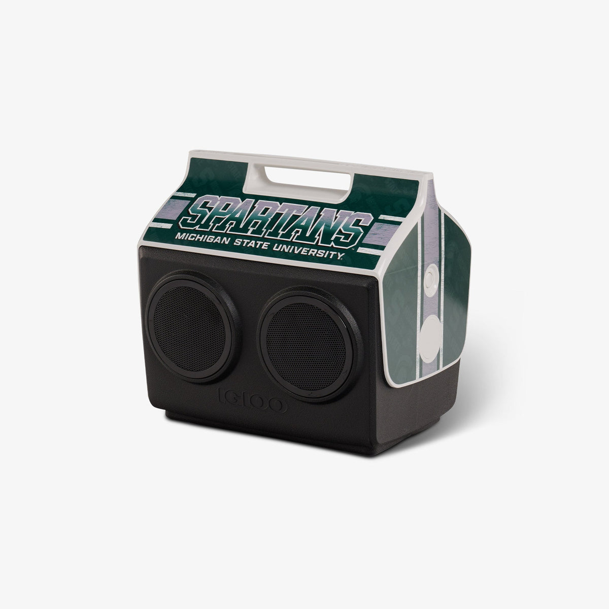 michigan-state-university-kooltunes-a2 00027730-H1.jpg