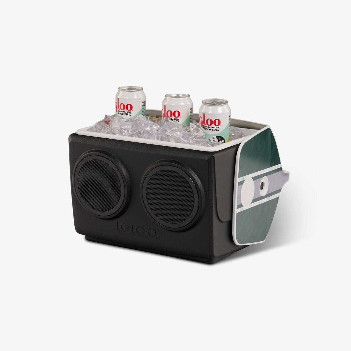 michigan-state-university-kooltunes-a2 00027730-P1.jpg
