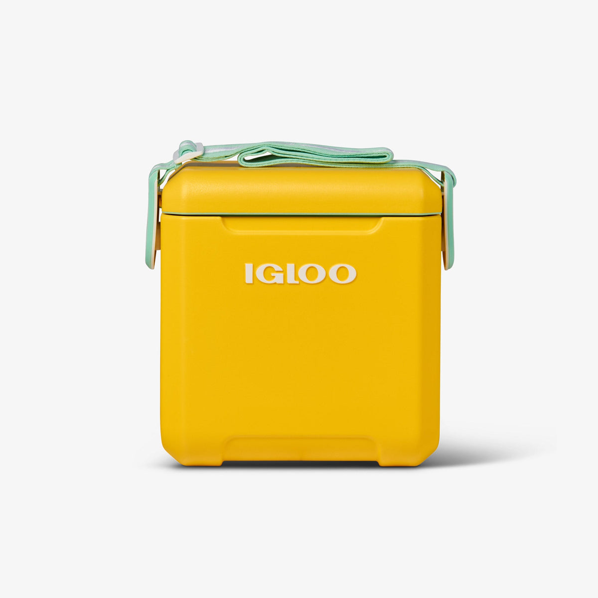 tag-along-too-cooler-e1 00032819_1.jpg