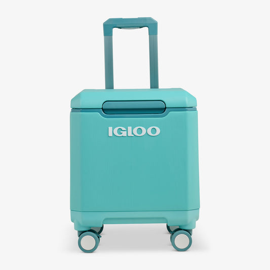 tag-along-too-spinner-cooler-r4 00033184-F1_b51e854c-365a-4272-b384-7c3dd41ac0b8.jpg