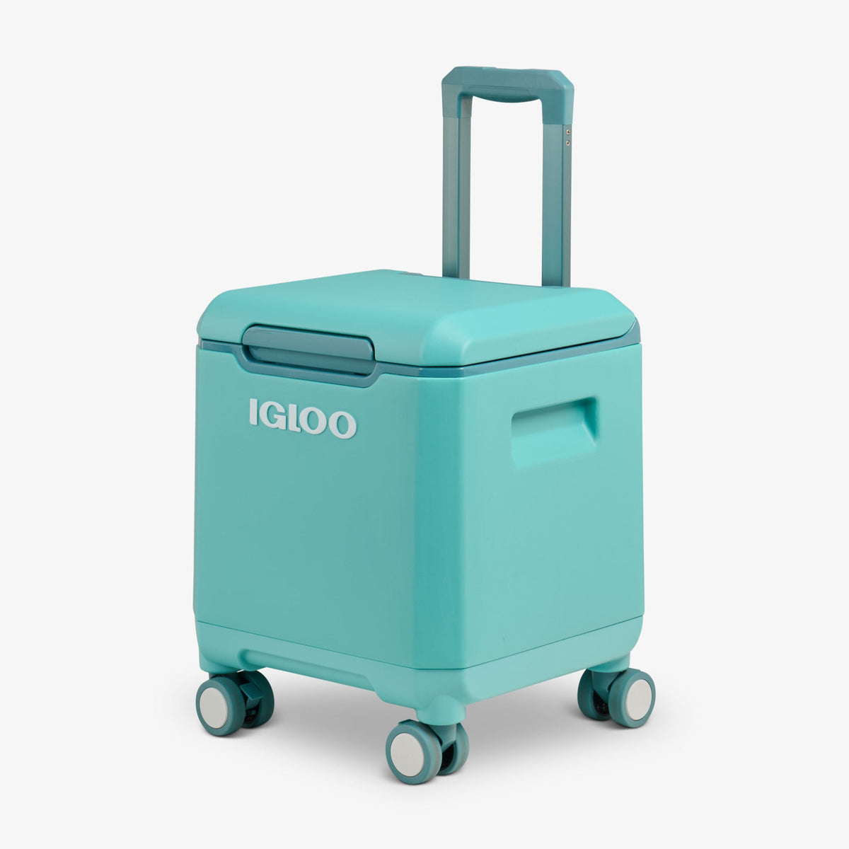 tag-along-too-spinner-cooler-r4 00033184-H3_fdf80c81-356d-4155-97e7-611821b8cef5.jpg