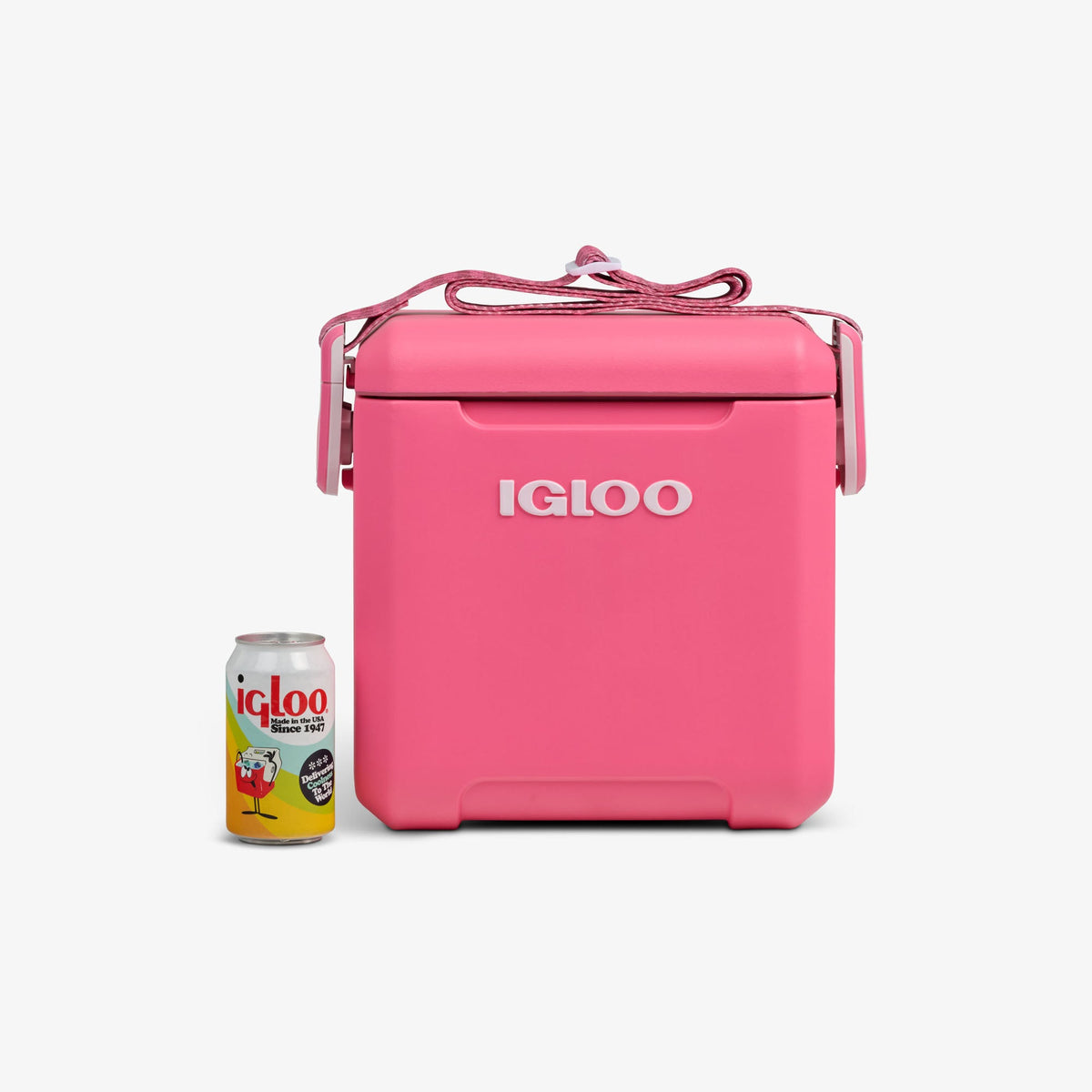 tag-along-too-remix-cooler-h1 00033199-P_861a5cd2-f15c-4217-a471-e33cc3890d9e.jpg