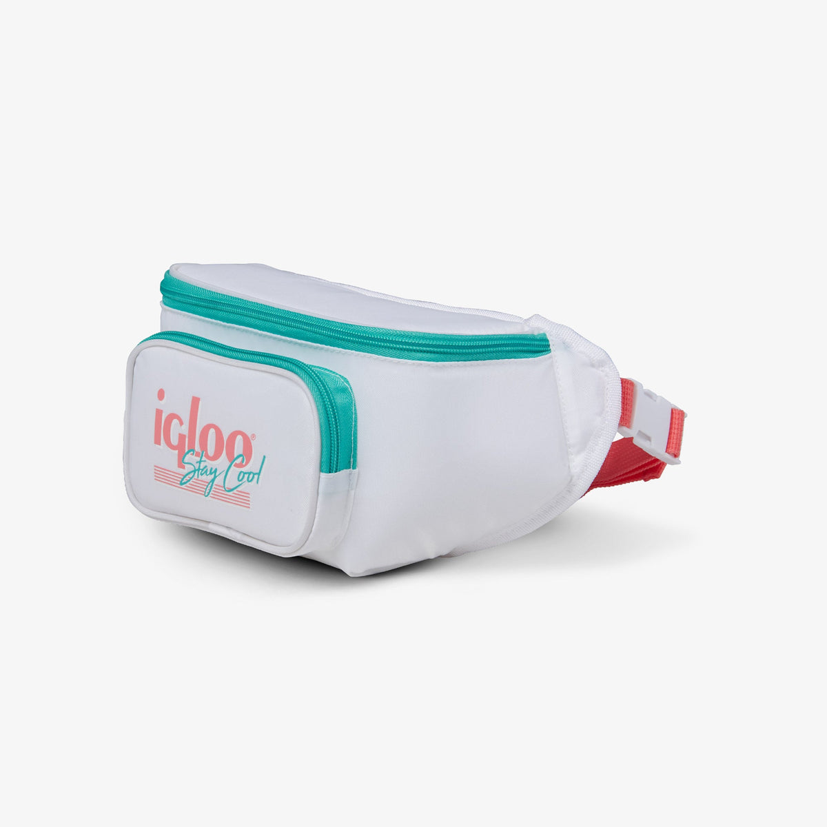 retro-fanny-pack-n3 00060951_2.jpg