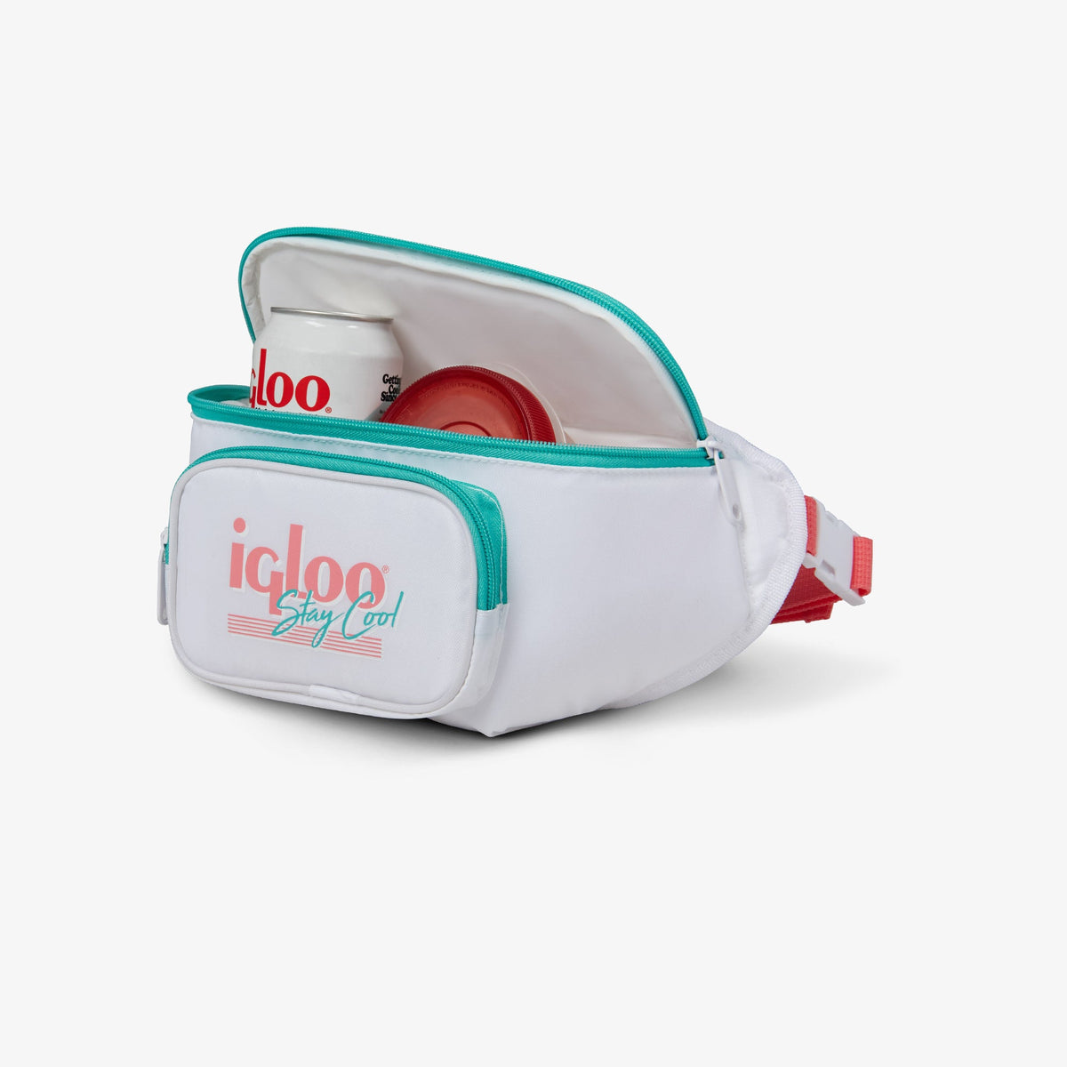 retro-fanny-pack-n3 00060951_3.jpg