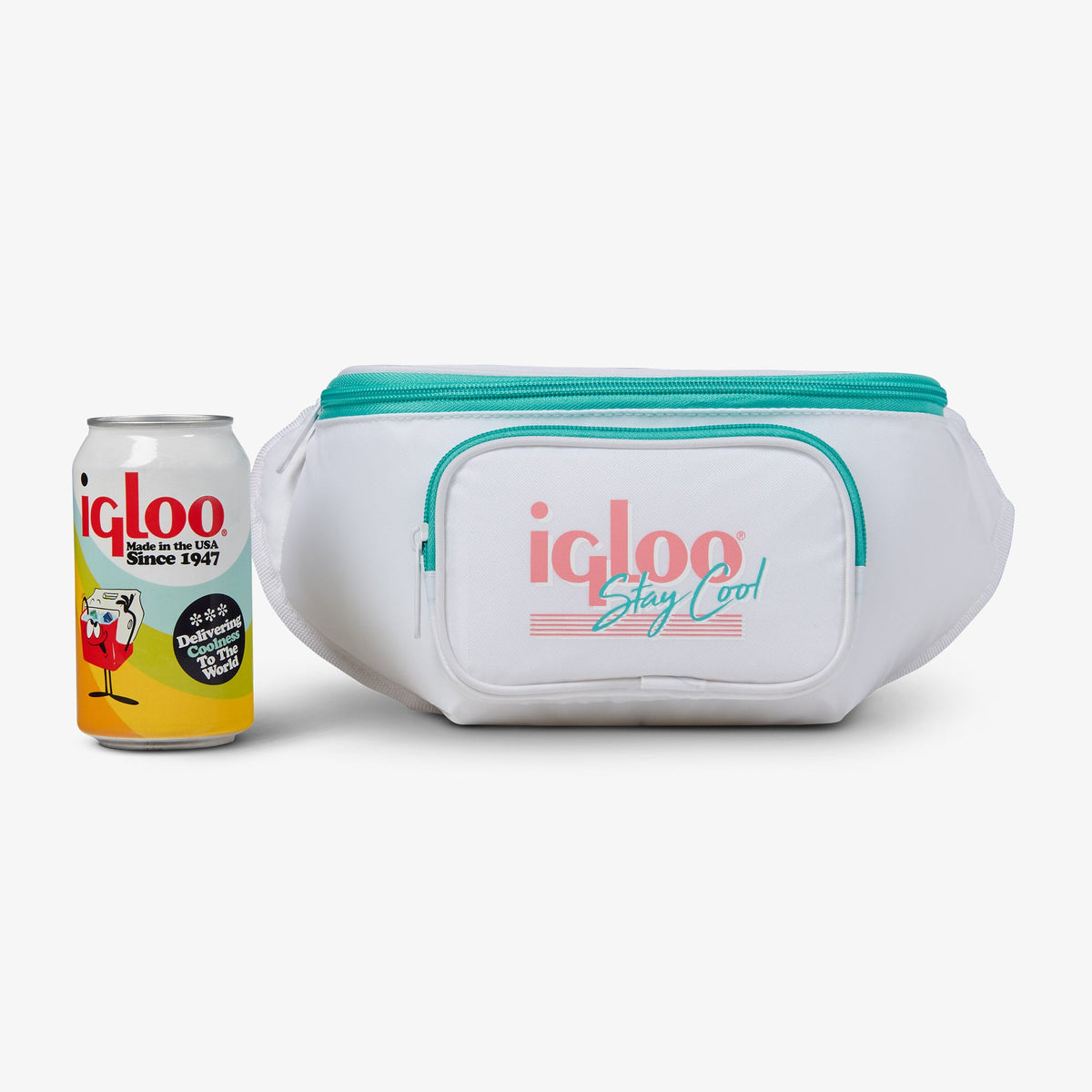 retro-fanny-pack-n3 00060951_5.jpg