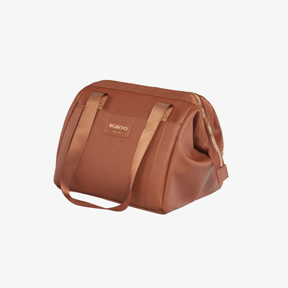 igloo-luxe-lunch-tote-cooler-bag-z4 00061160_2.jpg