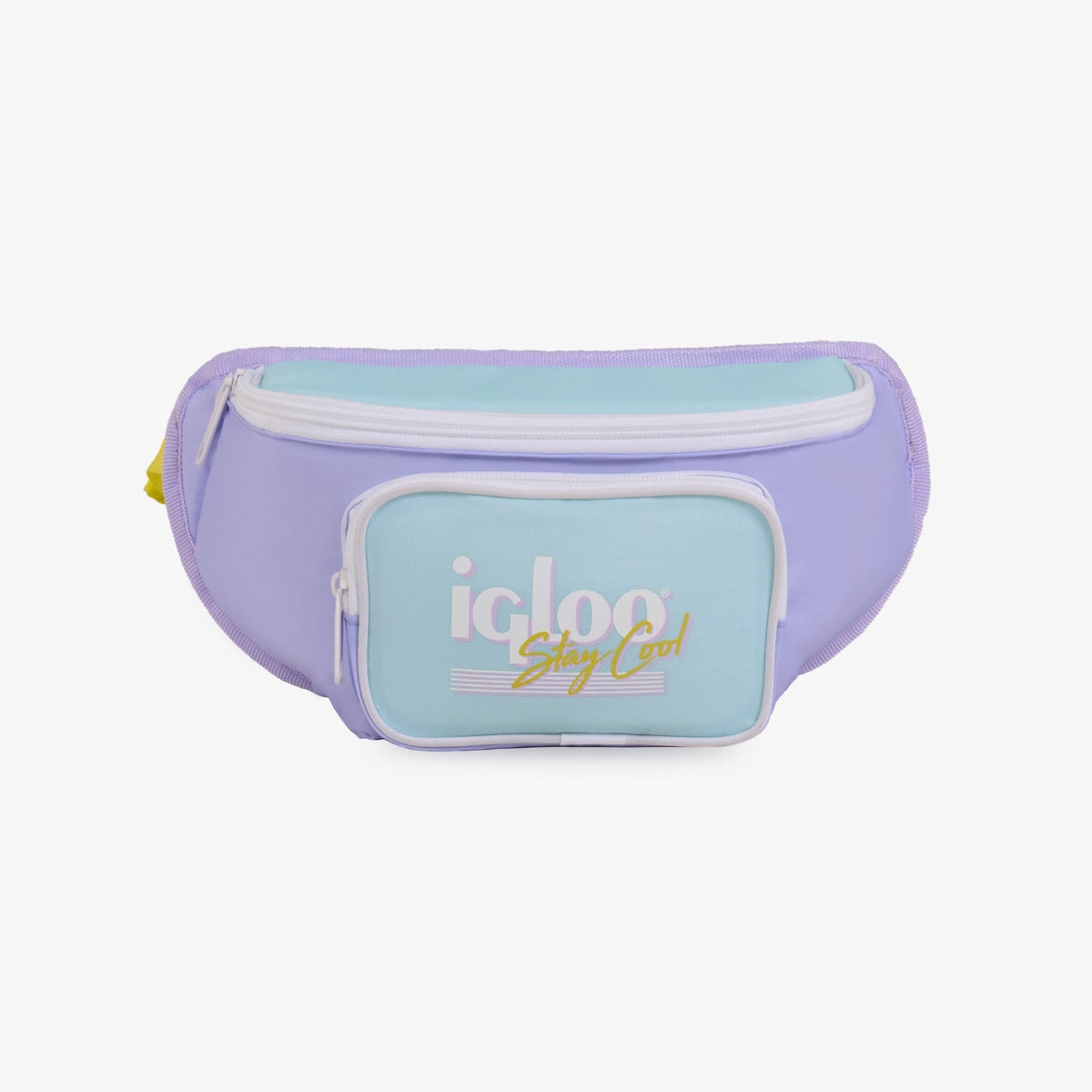 retro-fanny-pack-n3 00063078-F.jpg