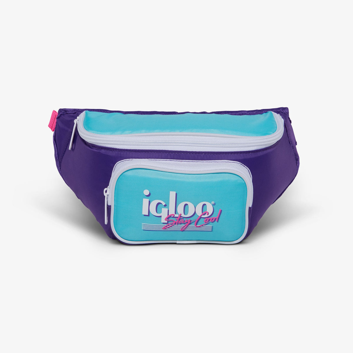 retro-fanny-pack-n3 00066056-F.jpg