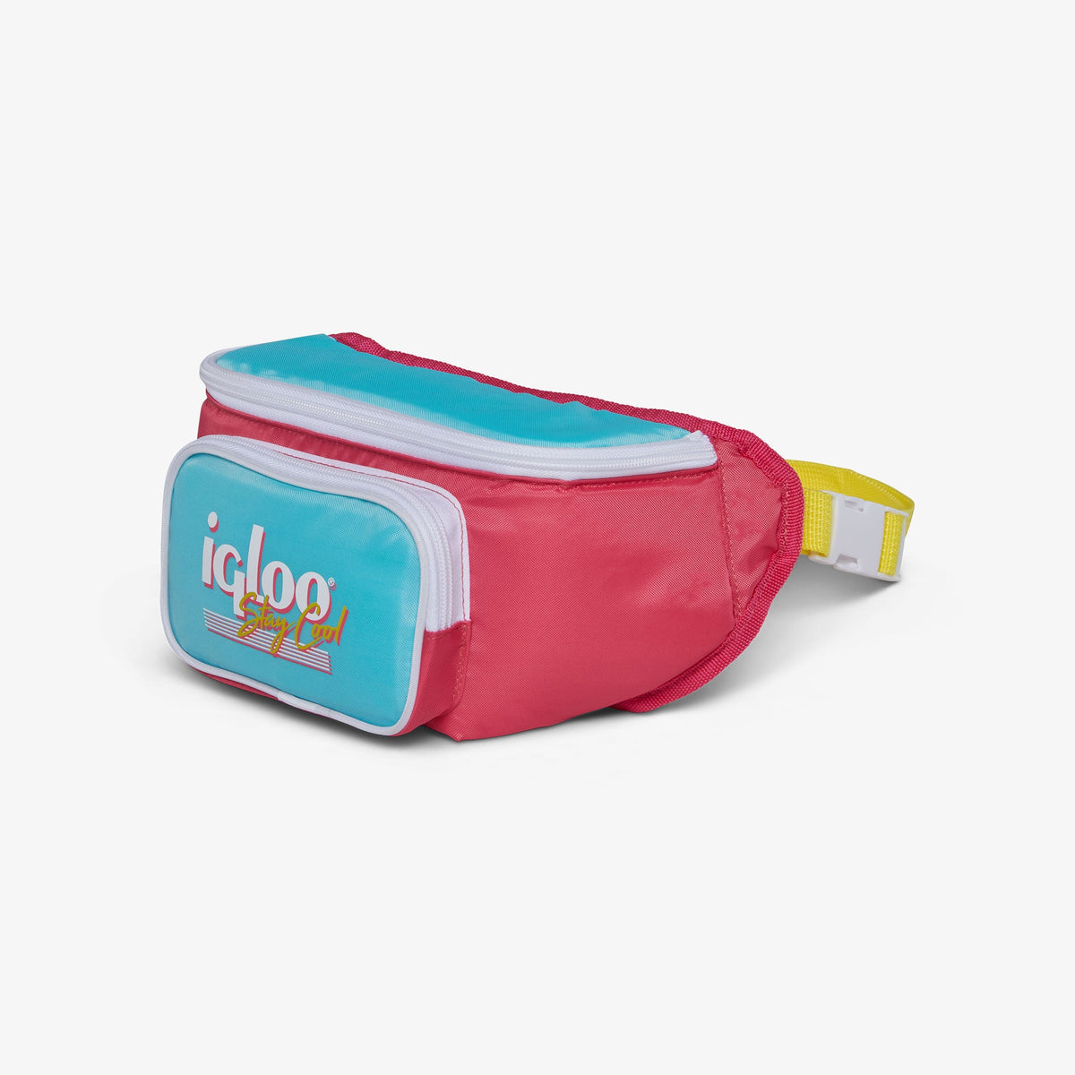 retro-fanny-pack-n3 00066058-H1.jpg