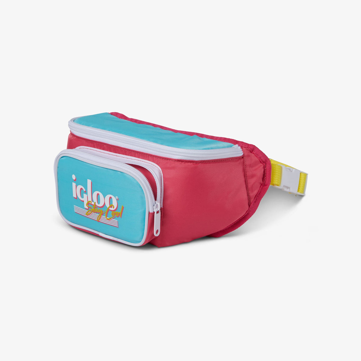 retro-fanny-pack-n3 00066058-O.jpg