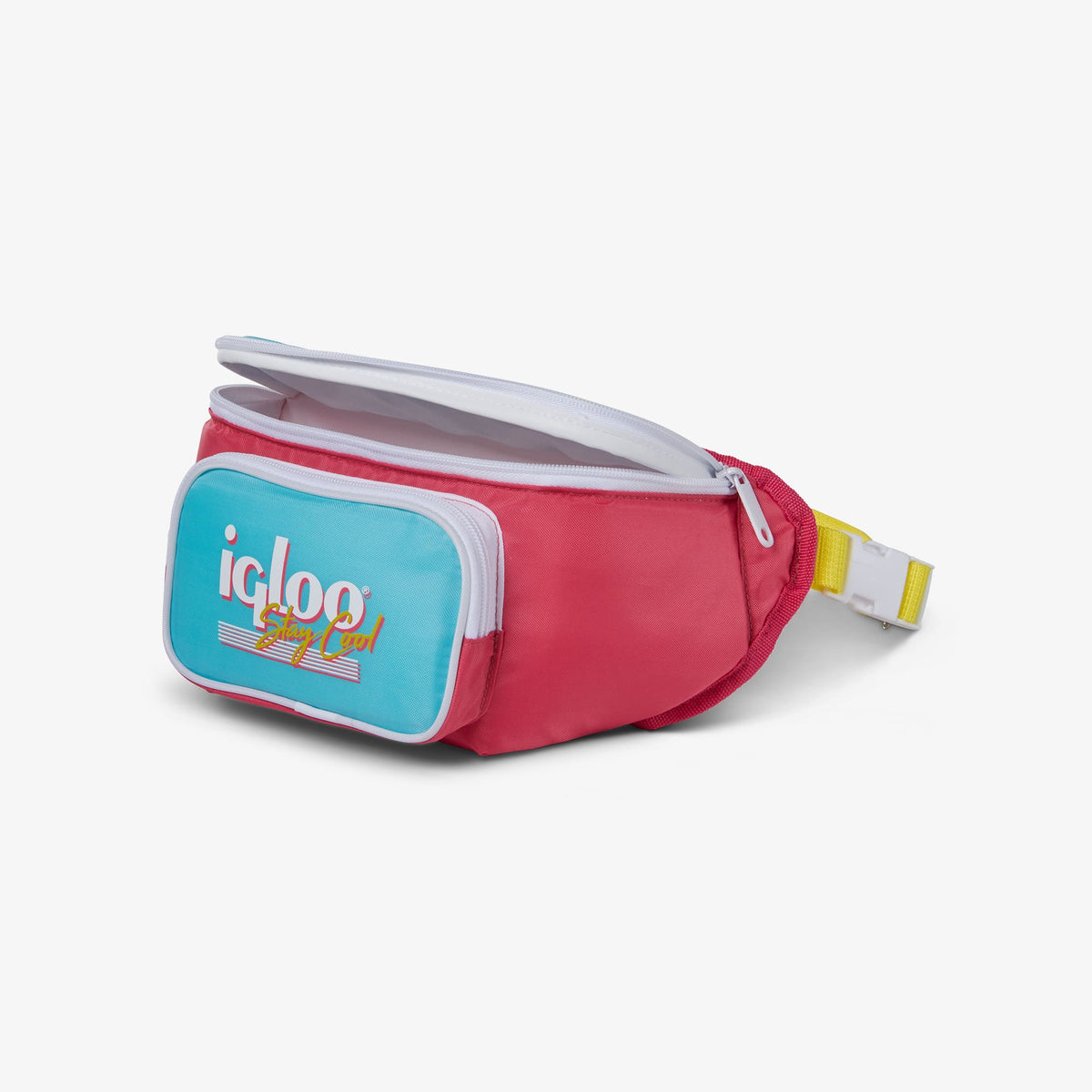 retro-fanny-pack-n3 00066058-O1.jpg