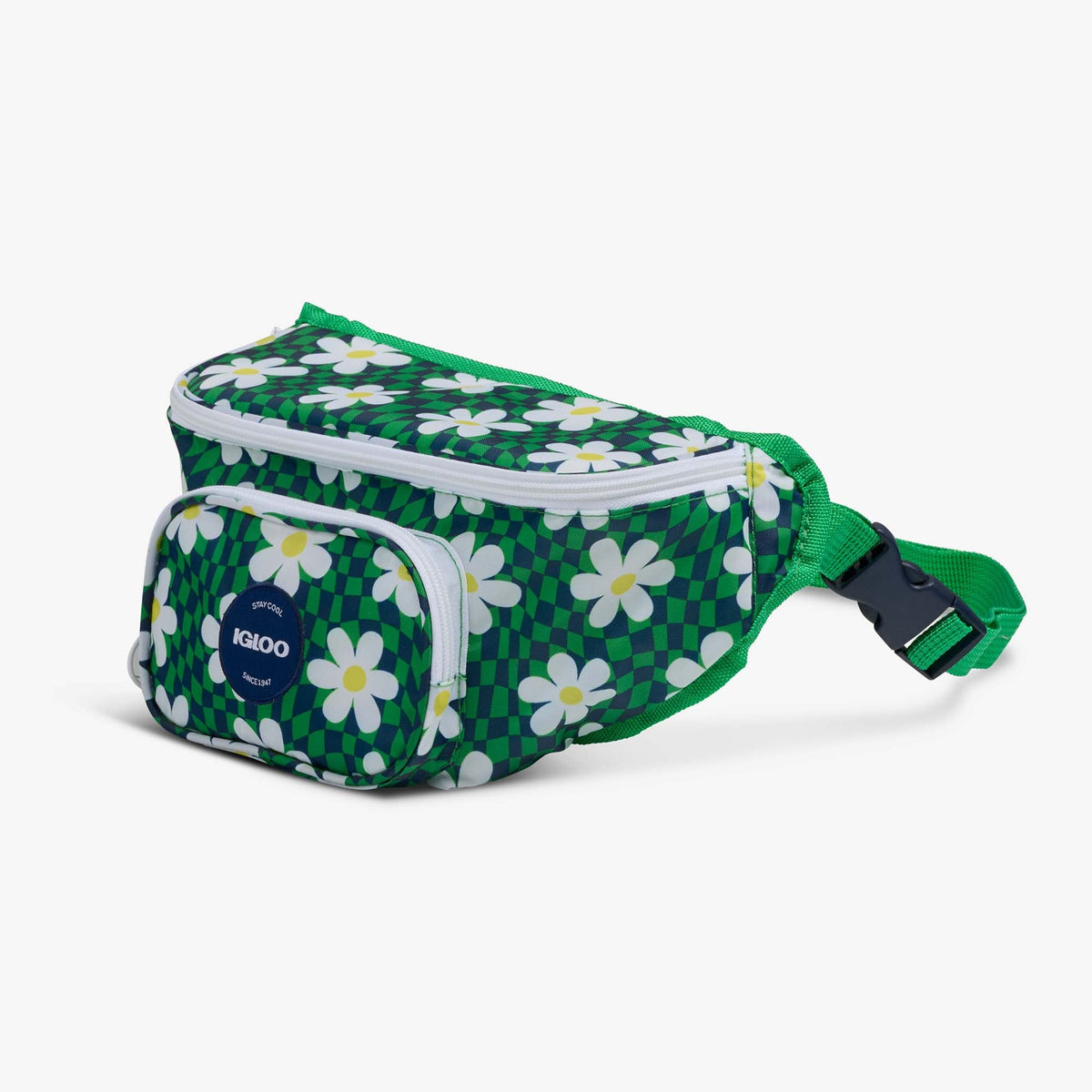 retro-fanny-pack-n3 00067206-H1.jpg
