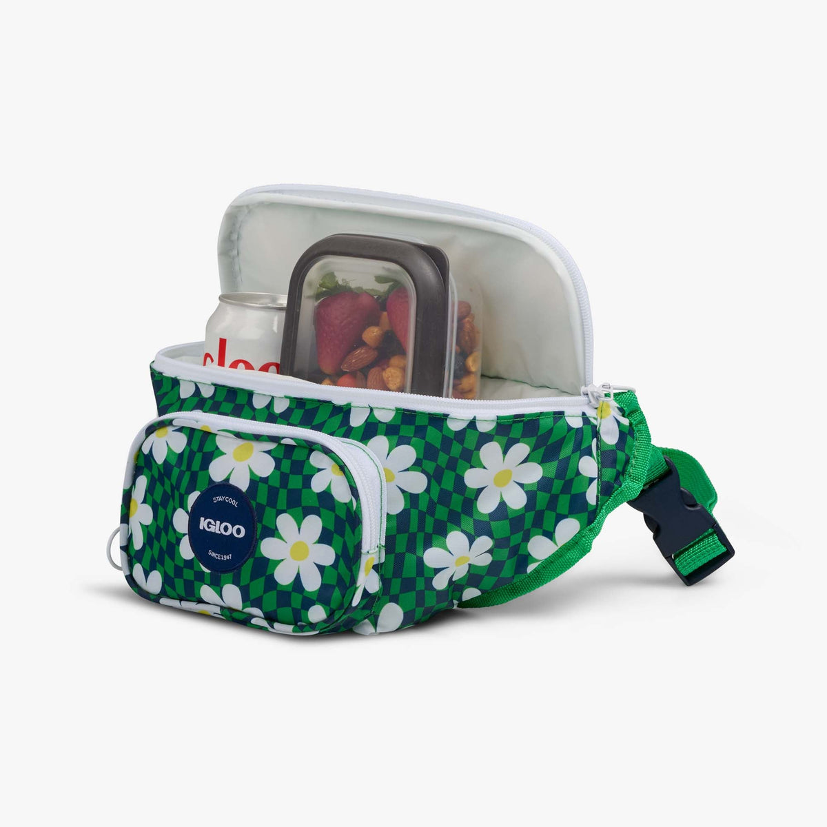 retro-fanny-pack-n3 00067206-P1.jpg